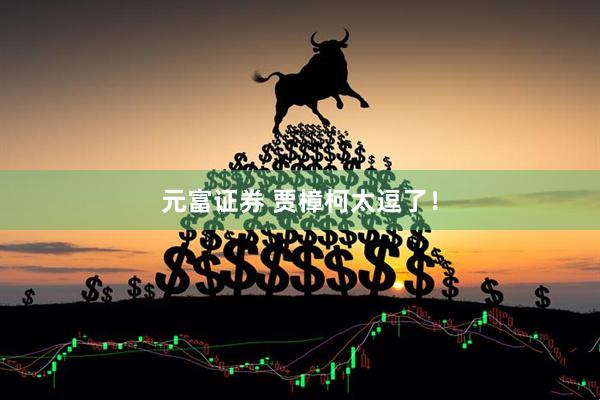 元富证券 贾樟柯太逗了！