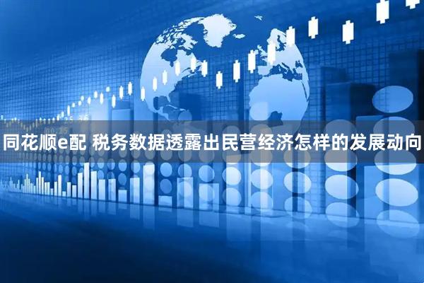 同花顺e配 税务数据透露出民营经济怎样的发展动向