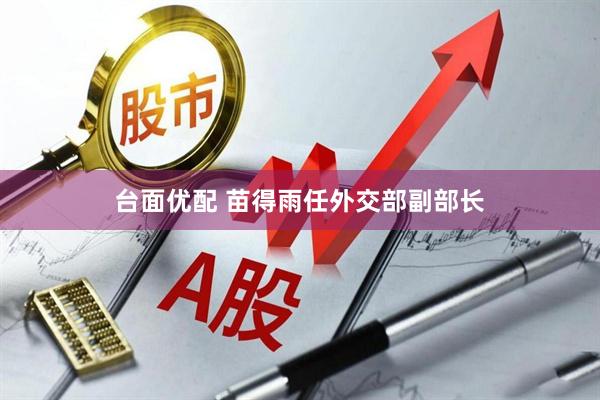台面优配 苗得雨任外交部副部长
