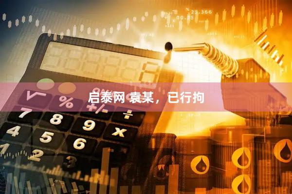 启泰网 袁某，已行拘