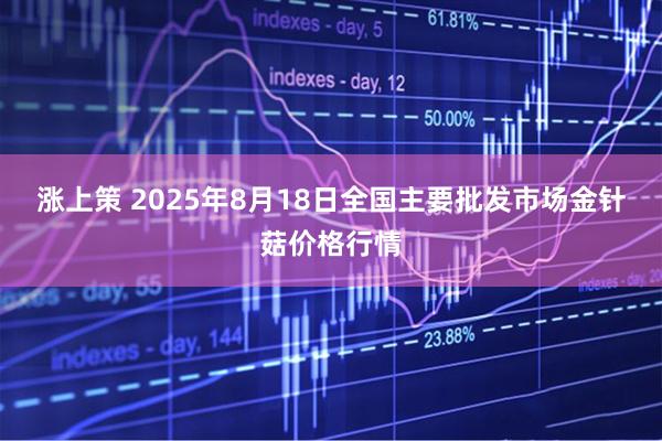 涨上策 2025年8月18日全国主要批发市场金针菇价格行情