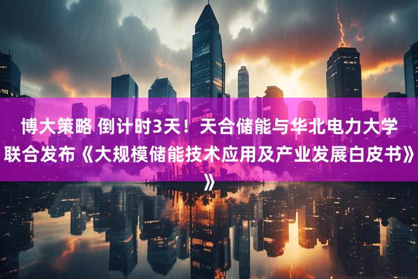 博大策略 倒计时3天！天合储能与华北电力大学联合发布《大规模储能技术应用及产业发展白皮书》