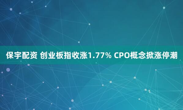 保宇配资 创业板指收涨1.77% CPO概念掀涨停潮