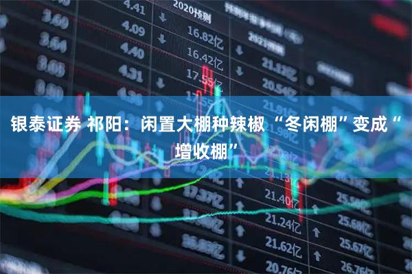 银泰证券 祁阳:闲置大棚种辣椒 “冬闲棚”变成“增收棚”