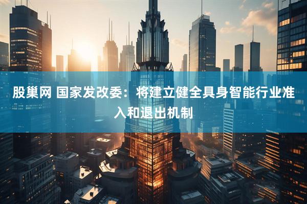 股巢网 国家发改委：将建立健全具身智能行业准入和退出机制