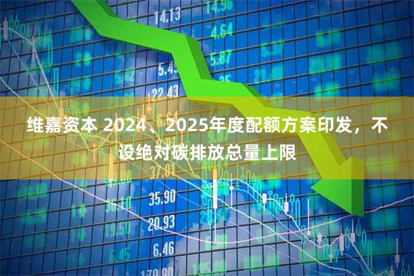 维嘉资本 2024、2025年度配额方案印发，不设绝对碳排放总量上限